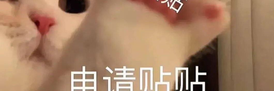 汽水堡堡's banner