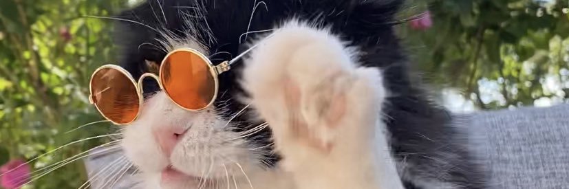Toraman Ayısı dobarla bırakma kendini🫶🏻's banner