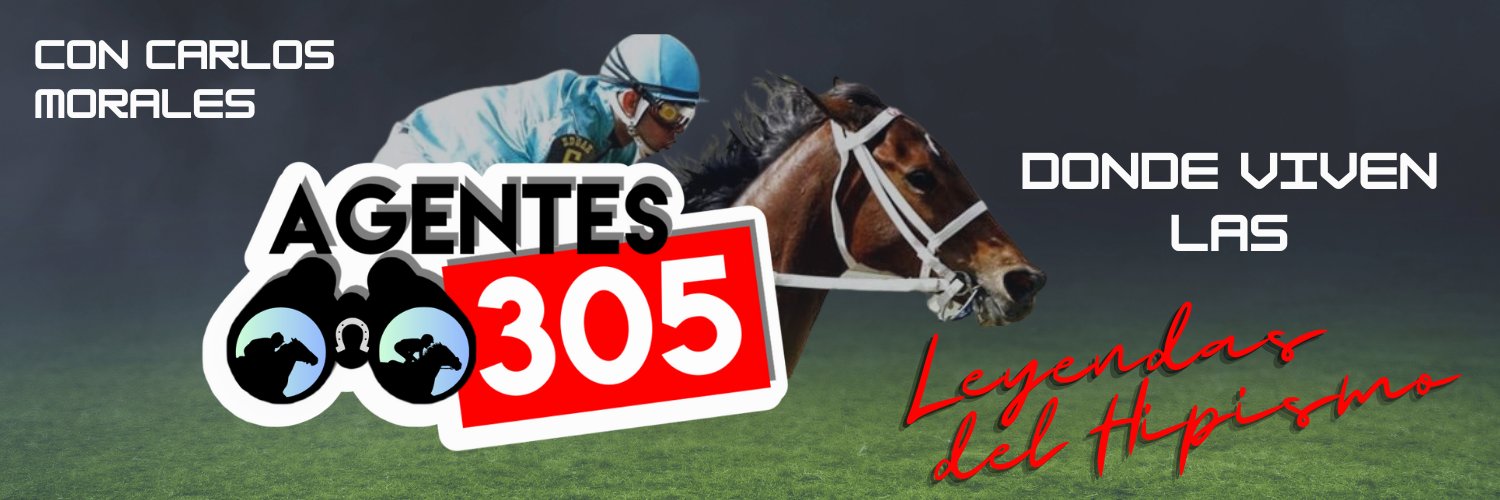 Agentes305's banner