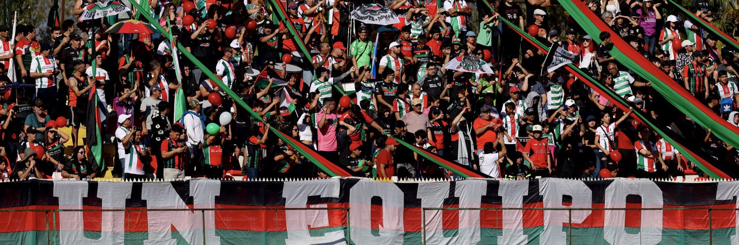 Club Deportivo Palestino's banner