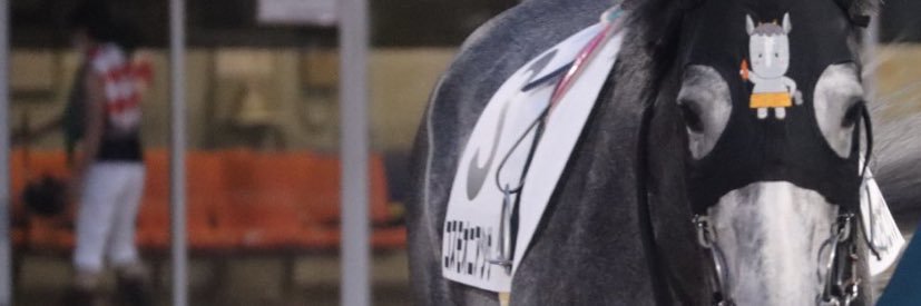 か's banner