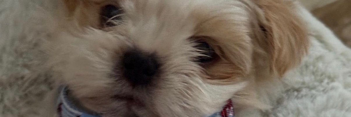 Marlene's banner