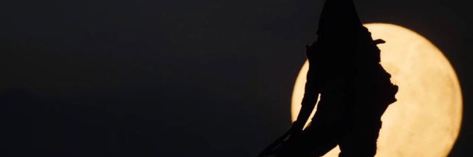 ࿏ 🇳🇴's banner