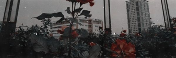 𝑷𝒉𝒊𝒍𝒍𝒊𝒑𝒆's banner