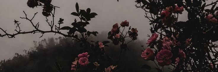 ♡'s banner