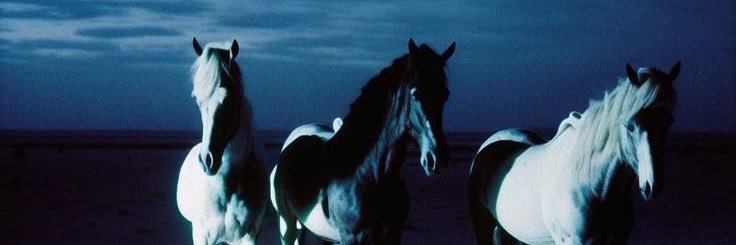 dimi 𓆩⟡𓆪's banner