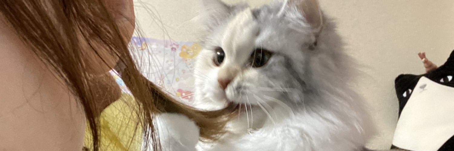 桜咲千依(おうさきちよ)🐈🐾's banner
