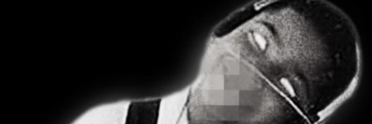 𝕯𝖗. 𝕭𝖆𝖒𝖇𝖔𝖔 🐨's banner