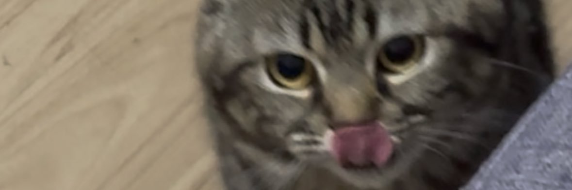 Avatar Bry's banner