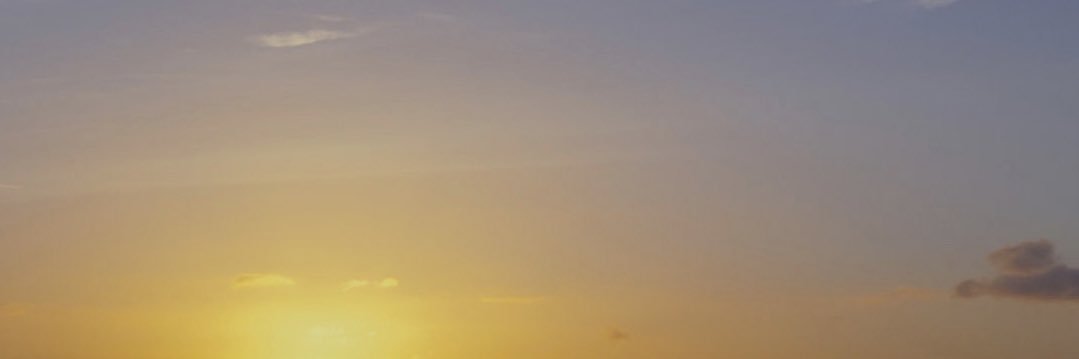 -Archer's banner