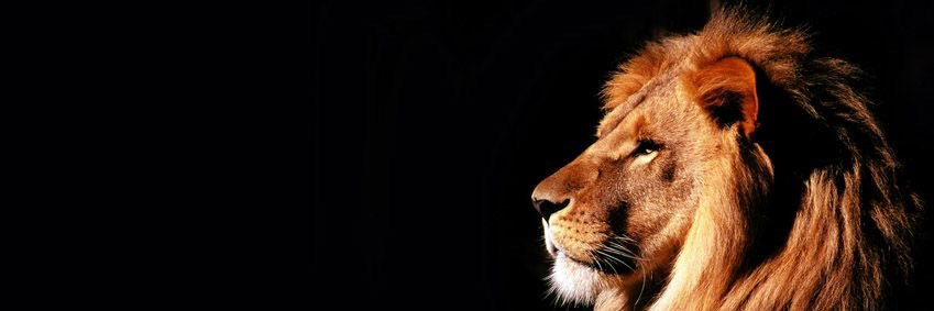 Mbedelectuel 🇸🇳's banner