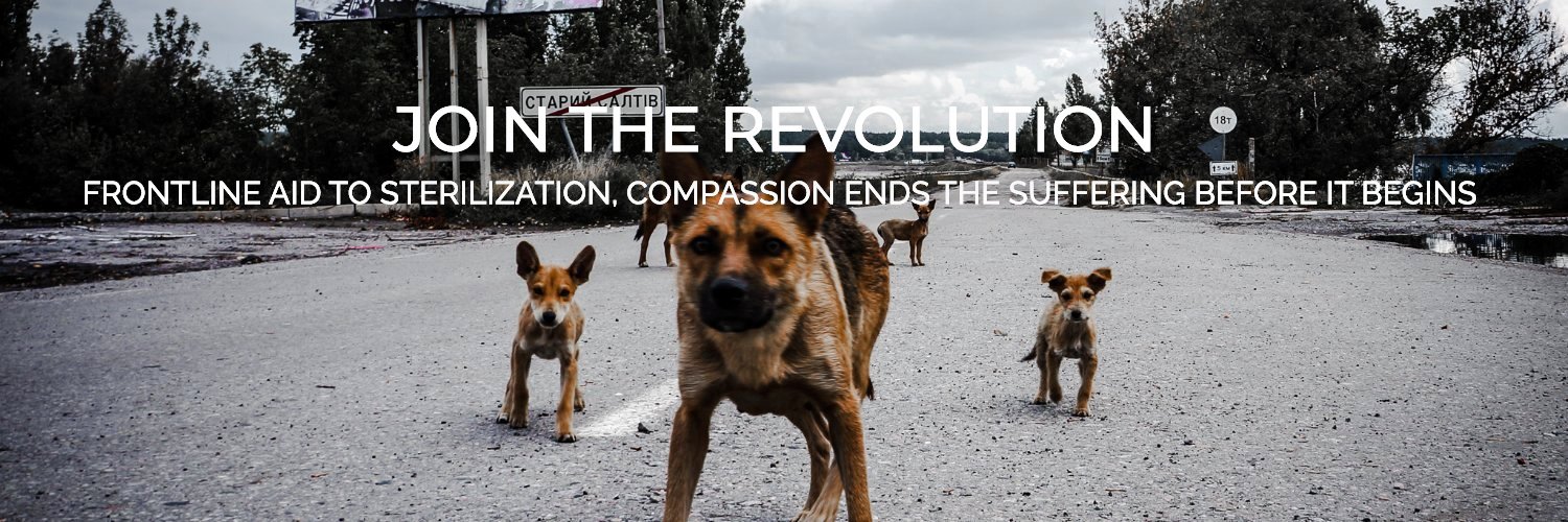 K9 Rescue International 🇺🇦🇲🇰🇬🇧🇺🇸's banner