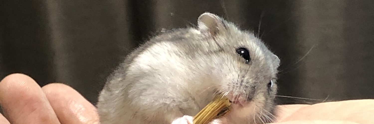 いと🐹's banner