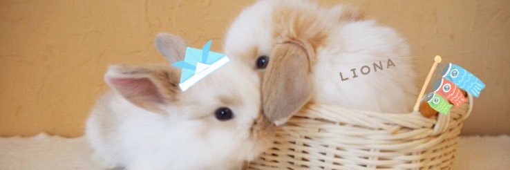 m (｡･x･)♡'s banner