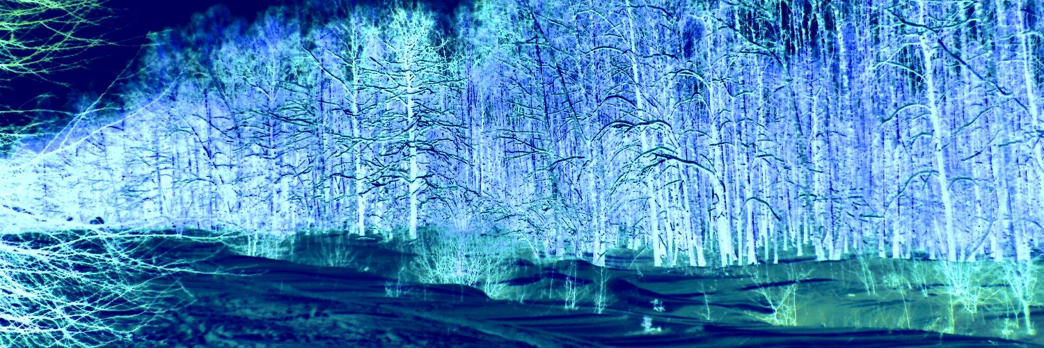 Потужнiй ухилянт's banner