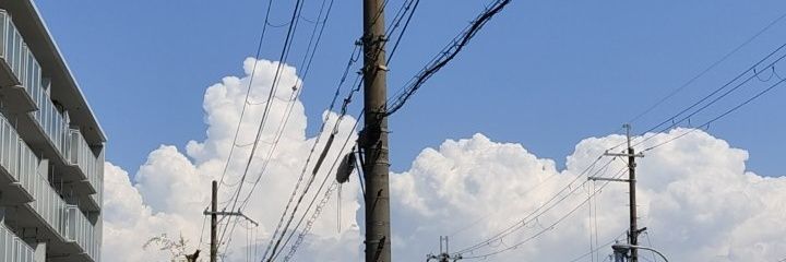 お米ワサビ's banner