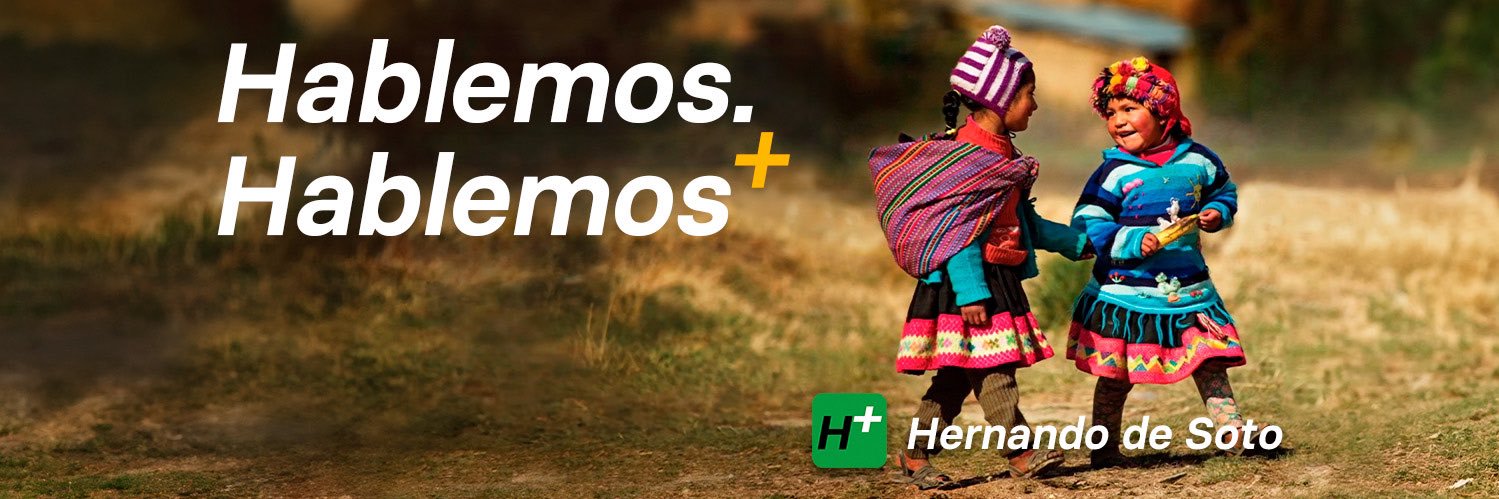 Hernando de Soto's banner