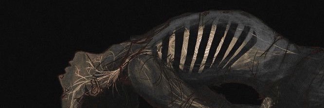 rue 🦢's banner