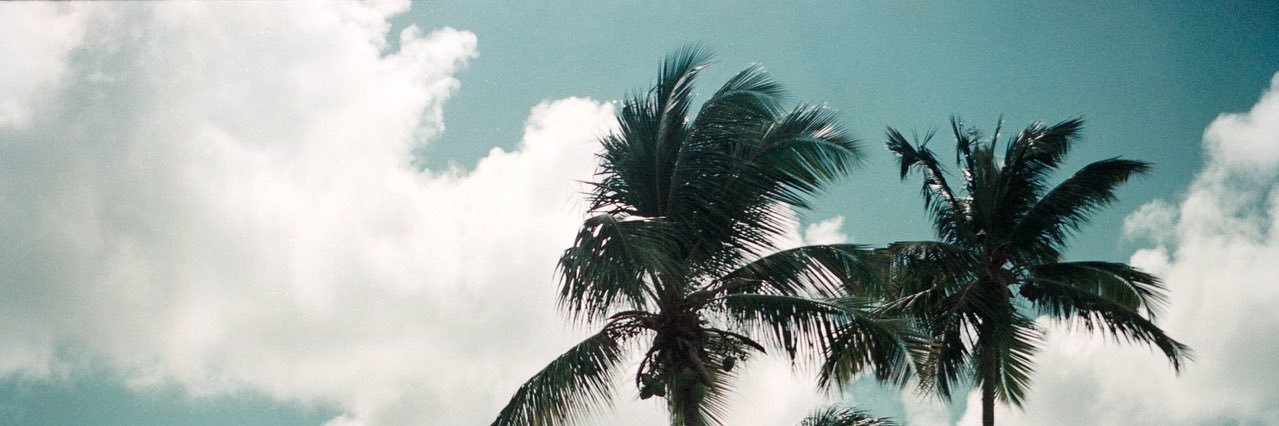 𝑇𝘩𝑒 𝑠𝑢𝑛 🌞's banner