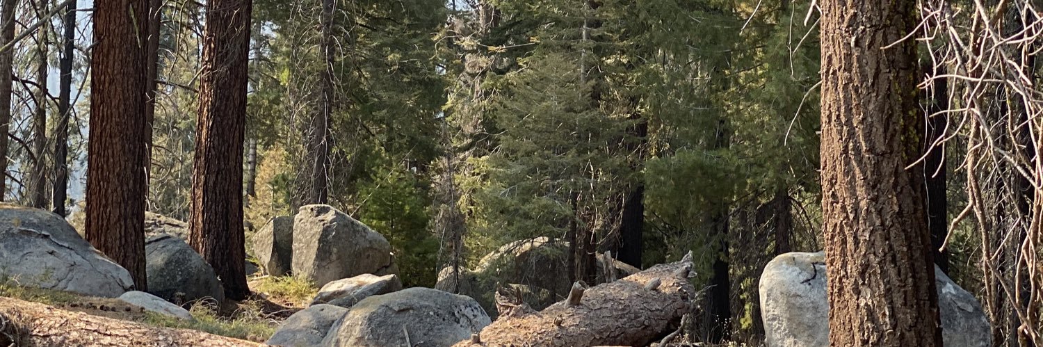 GigiDoceHoney🍯's banner