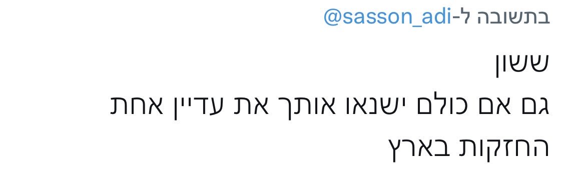 adi sasson's banner