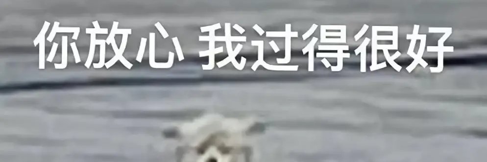 妮酱's banner