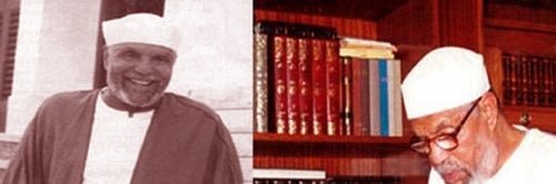 محمد الشعراوي's banner
