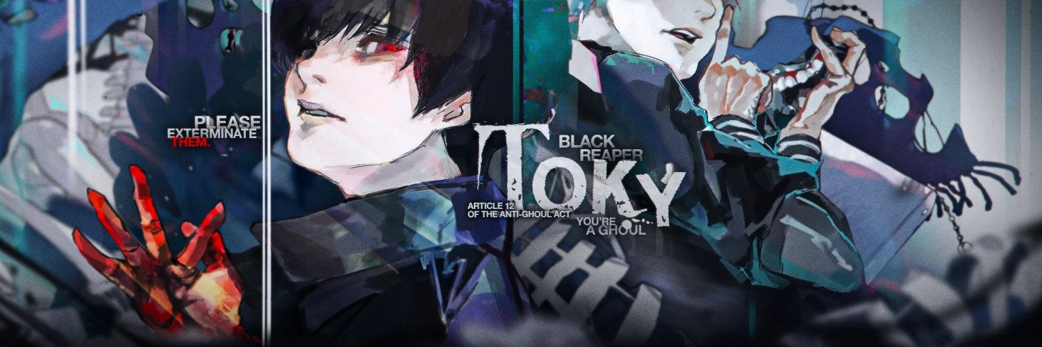 Toky's banner