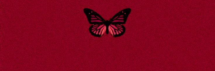 Ezer's banner