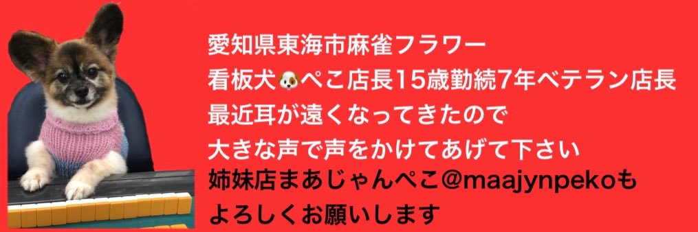 麻雀フラワー✨'s banner