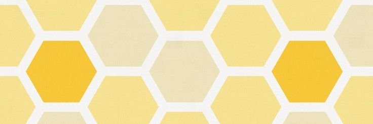 🐝 ! OLLIE ! 🐝's banner
