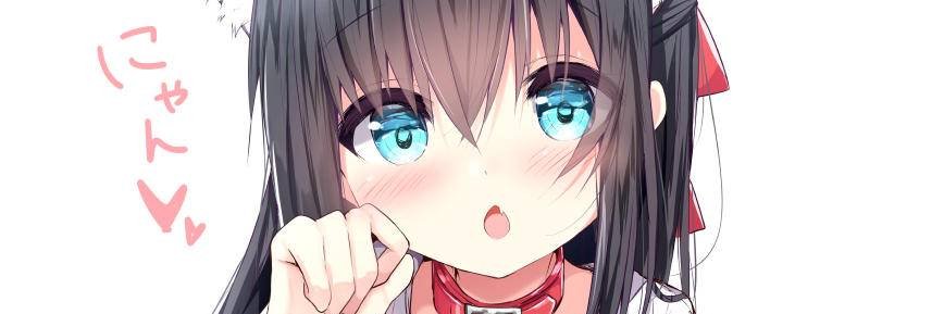 Momo's banner