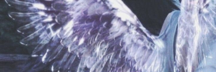 ✭'s banner