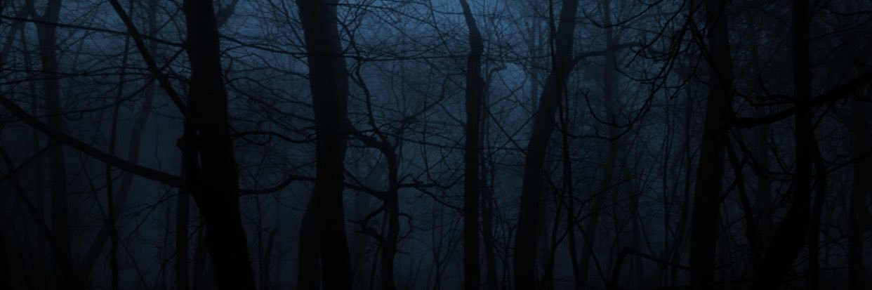HunnieVA 🍯👻's banner