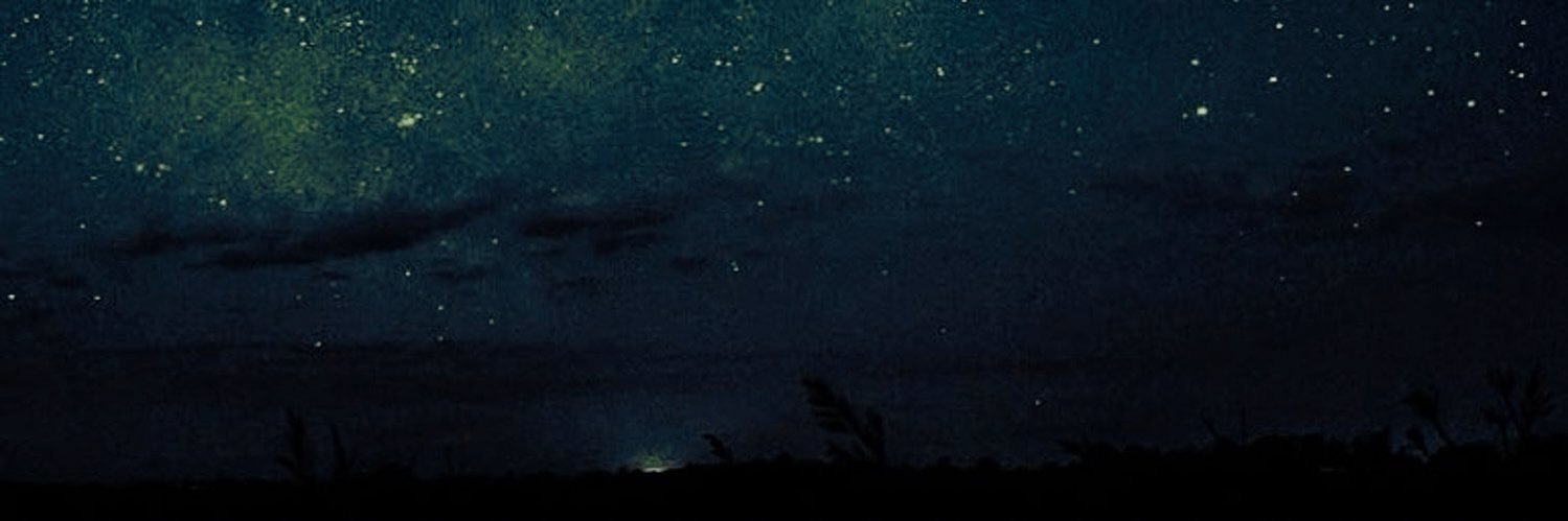 ✧'s banner