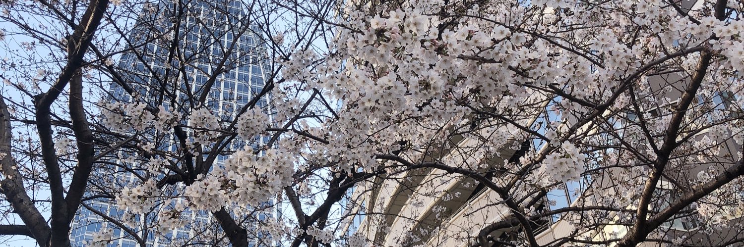 安涼奈ヶ岳's banner