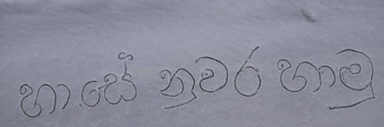 හා.සේ නුවර හාමු's banner