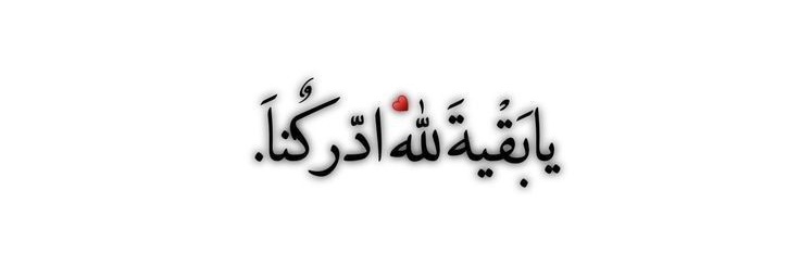 سیده سارا حسینی's banner