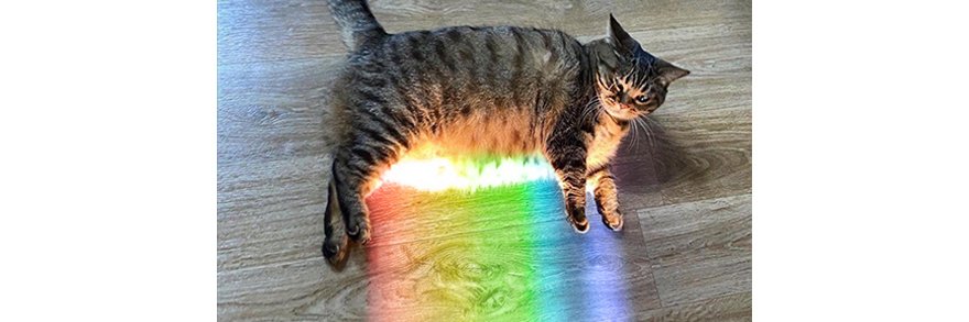 Rainbow's banner