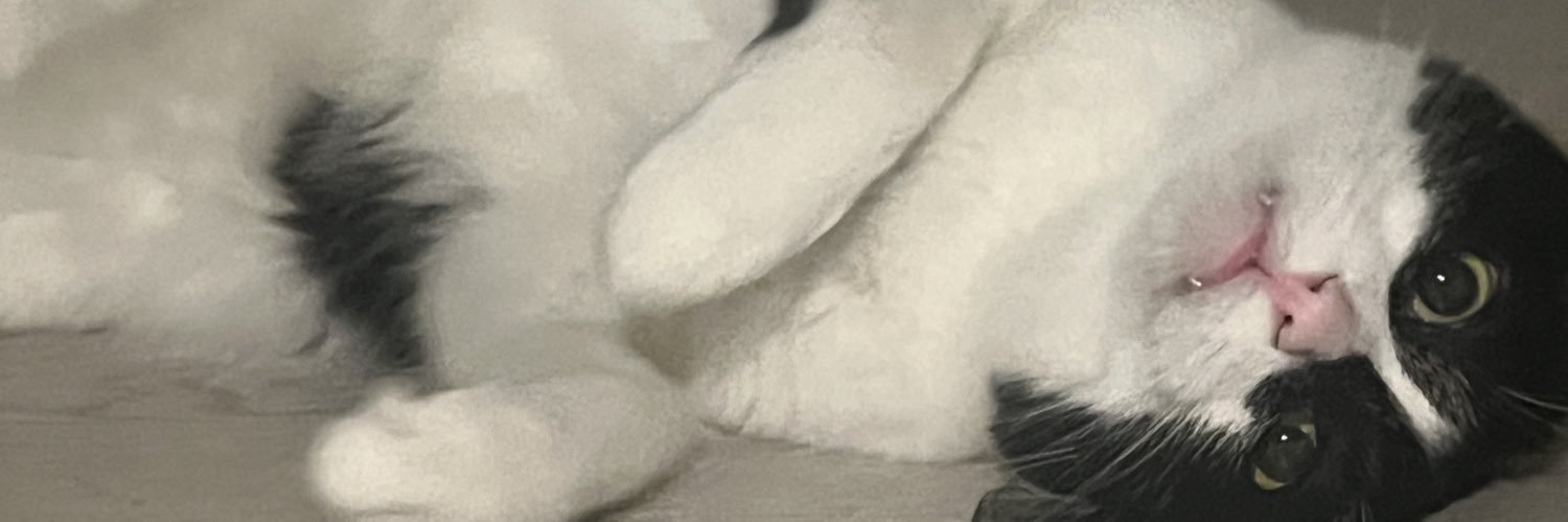 yunn's banner