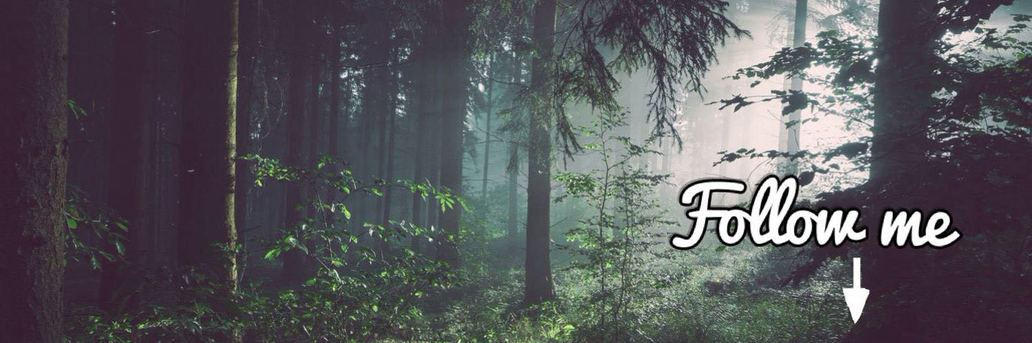 Andrzej Knapczyk (Fitbro)'s banner