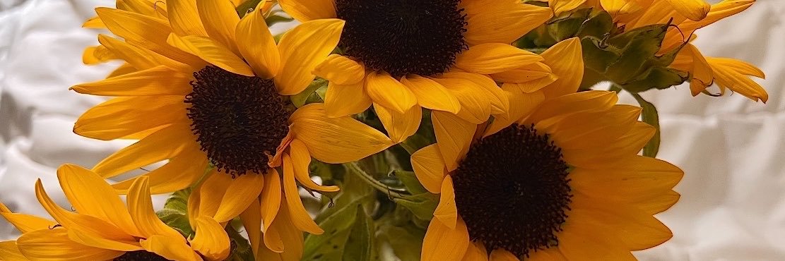 ☀️'s banner
