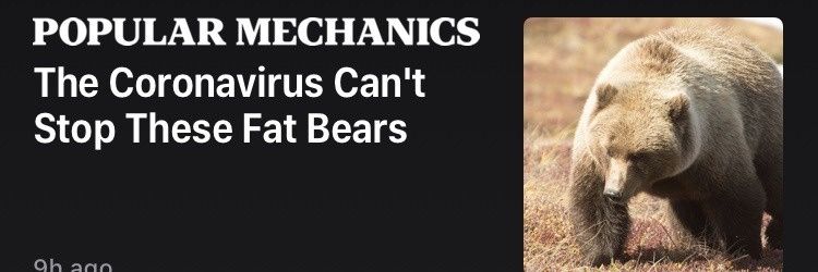 Thiccarus 🌞 🪽's banner