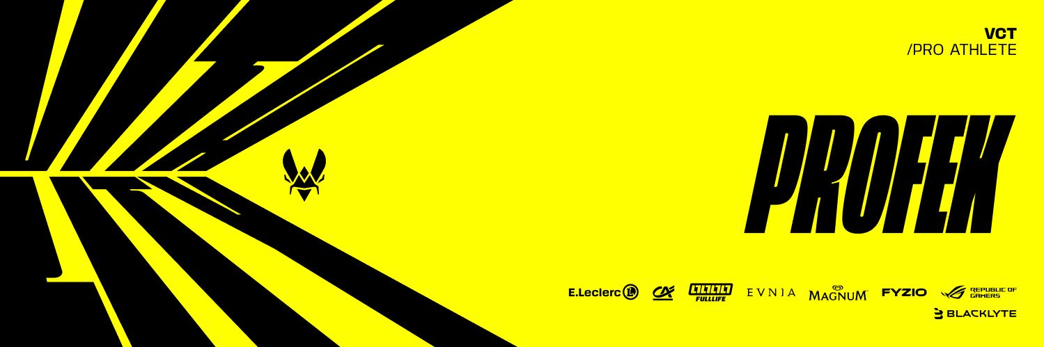 VIT profek's banner
