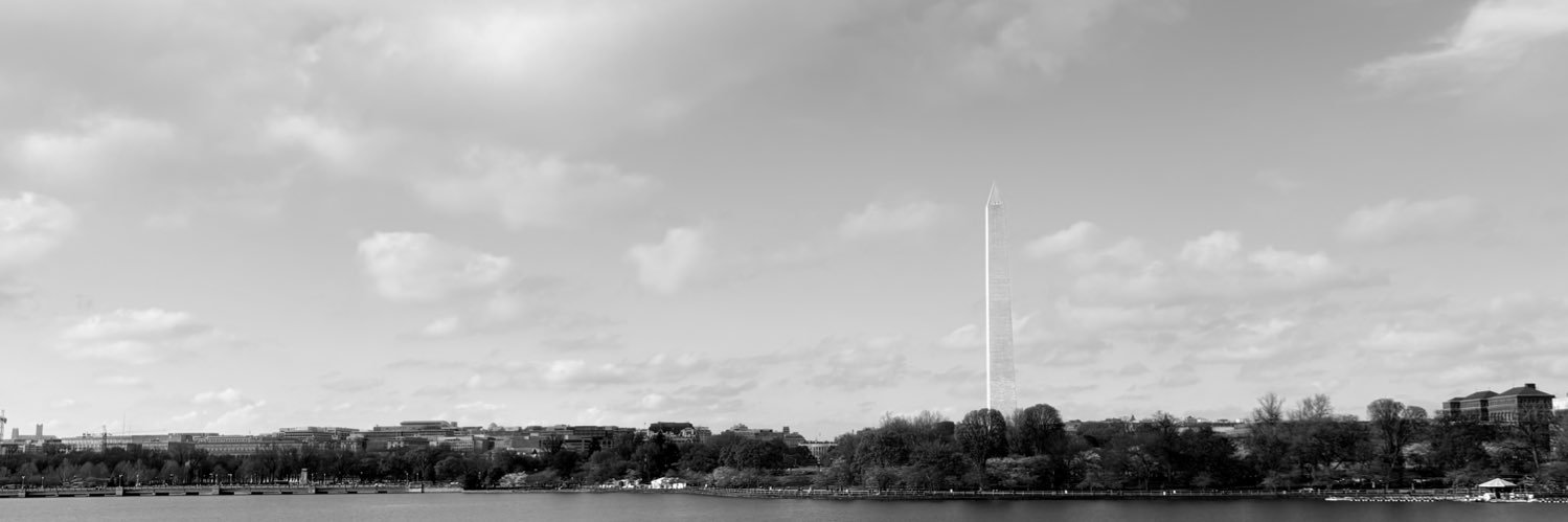 angie's banner