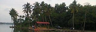 UN Alka Gadgil's banner