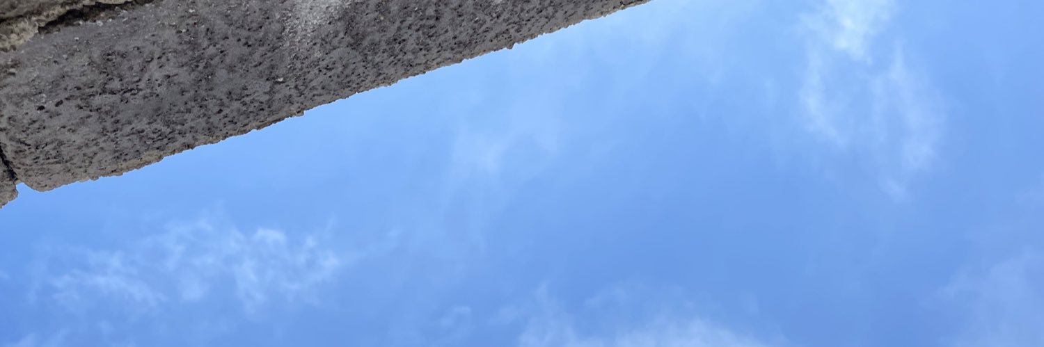 Ned Stark's banner