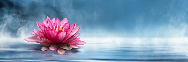 Tianxiang Wang's banner