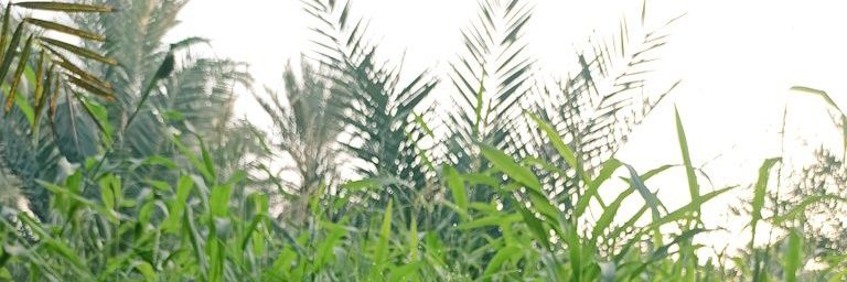 درغام's banner