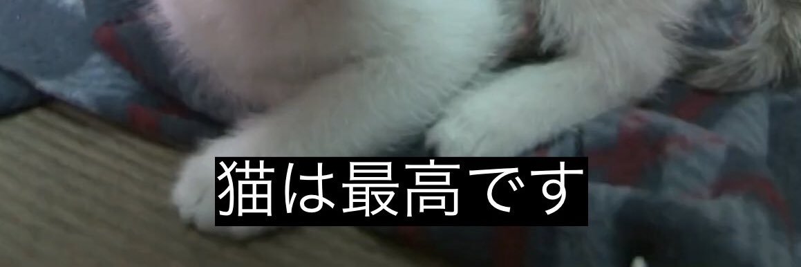 のぞみ's banner